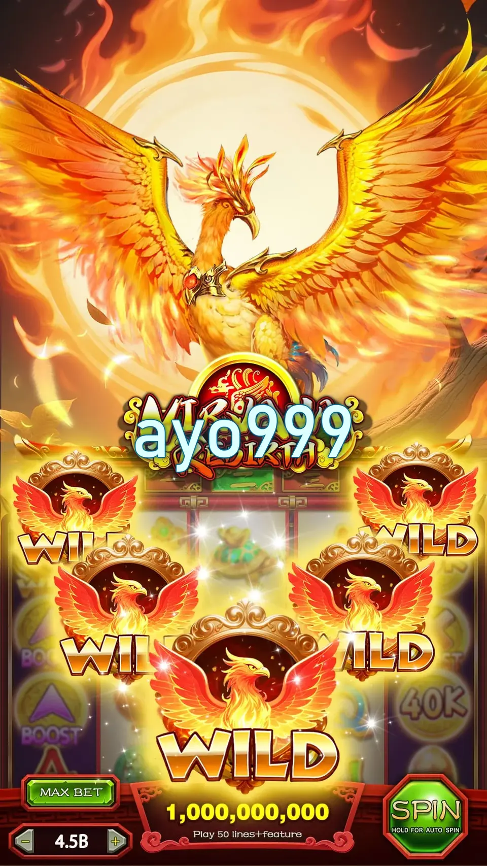 ayo999 APK